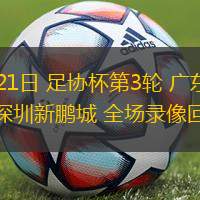 05月21日 足协杯第3轮 广东广州豹vs深圳新鹏城 全场录像回放
